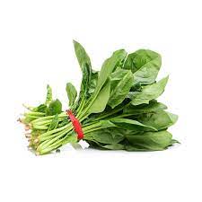 Japanese-Spinach-Wholesaler-In-India